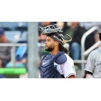 Everett AquaSox' Freuddy Batista