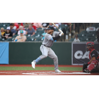 Long Island Ducks at the plate