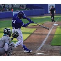 Syracuse Mets' José Azocar at bat