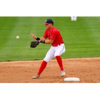 St. Cloud Rox' Tyson LeBlanc in action