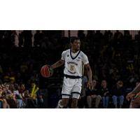 Edmonton Stingers guard Sean East II