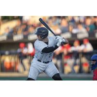 Catcher Erik Ostberg with the Milwaukee Milkmen