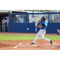 Tampa Tarpons outfielder Marshall Toole