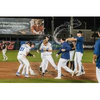 Biloxi Shuckers celebrate a walk-off win