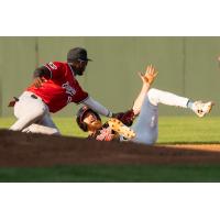 A Fargo-Moorhead RedHawks baserunner gets tagged