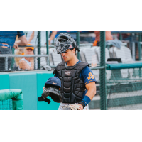 Down East Bird Dawgs catcher Tyler Blaum