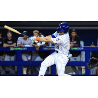 AJ Salgado of the St. Lucie Mets
