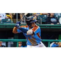 Montgomery Biscuits second baseman Jadher Areinamo