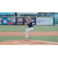 Down East Bird Dawgs on the mound