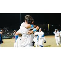 Charleston RiverDogs celebrate a walk-off win