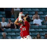 Fargo-Moorhead RedHawks catcher Juan Fernandez
