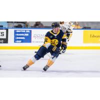 Norfolk Admirals forward Matt Crasa