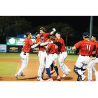 Charleston RiverDogs celebrate win