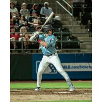 Tri-City Dust Devils at bat