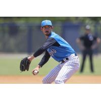 Tampa Tarpons pitcher Sean Hermann