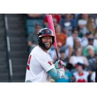 Fargo-Moorhead RedHawks' Eric Filia at bat