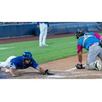Tulsa Drillers' Taylor Young in action