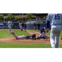 Tulsa Drillers catcher Nelson Quiroz attempts to tag out a San Antonio runner