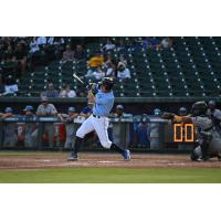 Luke Nowak of the Columbia Fireflies