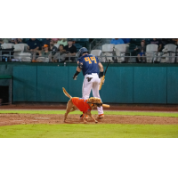 Down East Bird Dawgs infielder Yassel Pino and bat dog Tonka