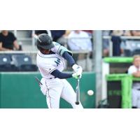 Felnin Celesten of the Everett AquaSox