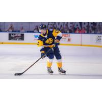 Norfolk Admirals defenseman Jaden Shields