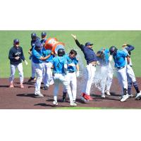 Everett AquaSox douse Anthony Donofrio