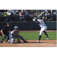 Dylan Jasso at bat for the Somerset Patriots