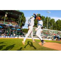 Kalamazoo Growlers celebrate a run