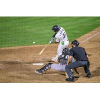 Tri-City Dust Devils catcher Dario Laverde at bat