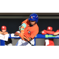 St. Lucie Mets at bat