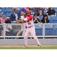 Ottawa Titans outfielder Robert Chayka