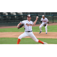 Down East Bird Dawgs pitcher Brandon Kaminer