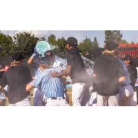 Hickory Crawdads celebrate a walk-off win