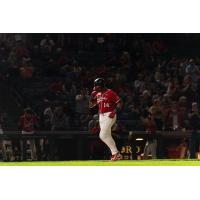 Fargo-Moorhead RedHawks infielder Jose Sermo