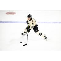 Wheeling Nailers Defenseman Bogdans Hodass