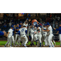 Tulsa Drillers celebrate a walk-off win