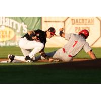 Fargo-Moorhead RedHawks apply the tag against the Winnipeg Goldeyes