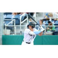 Charlie Pagliarini of the Everett AquaSox