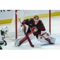 Goaltender Leevi Merilainen with the Ottawa Senators