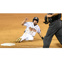 Down East Bird Dawgs slide into third