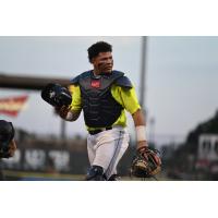 Columbia Fireflies catcher Ramon Ramirez