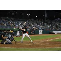 Greensboro Grasshoppers infielder Jared Jones