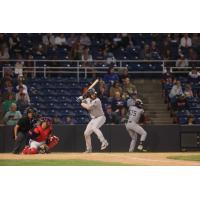 Tyler Hardman of the Somerset Patriots at bat