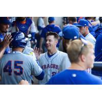 Jared Young receives congratulations in the Syracuse Mets dugout