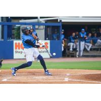 Willy Montero of the Tampa Tarpons