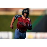 Kansas City Monarchs' Ross Adolph ijn action