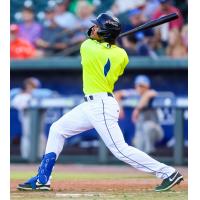 Henry Ramos of the Columbia Fireflies