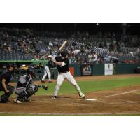Greensboro Grasshoppers designated hitter Jared Jones