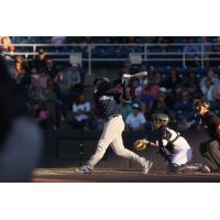 Somerset Patriots' Tyler Hardman in action